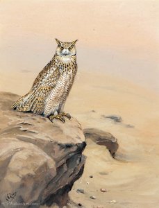 Eagle Owl On A Rock — George Edward Lodge