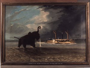 Elephants In The Swallows Of The Shire River — Thomas Baines