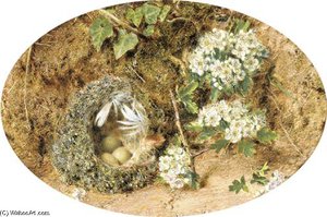 Still-life With Birds Nest And Hawthorne On A Mossy Bank — William Henry Hunt