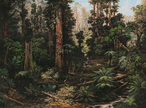 In The Sassafras Valley, Victoria — Isaac Joseph Whitehead