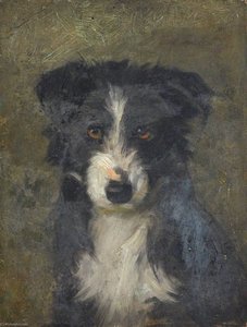 Head of a Dog