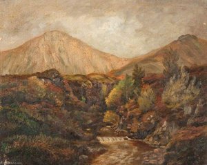 Gully At Sligachan, Skye — Robert Lillie