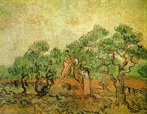 Olive Picking — Vincent Willem Van Gogh