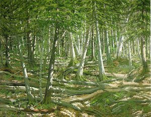 Old Windfall — Neil Gavin Welliver