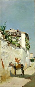 Calle De Granada — Rafael Latorre Viedma