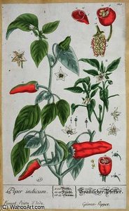 Guinea Pepper plate