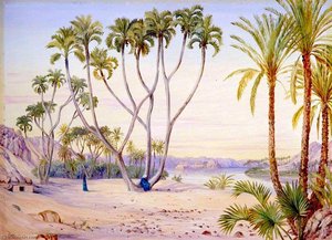 Doum And Date Palms On The Nile Above Philae, Egypt — Marianne North