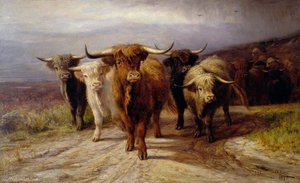 Cattle — Joseph Denovan Adam