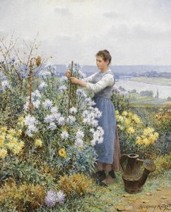 Chrysanthemums — Daniel Ridgway Knight