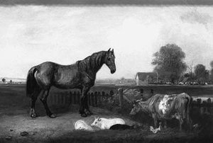 A Donkey And Sheep In A Landscape — Edmund Bristow