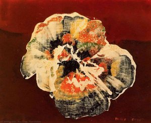 Flor-Concha