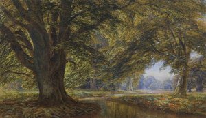 Beech Forest, England — Edmund George Warren