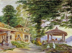 Dibee Dhoora Dee Mit Seinem Brunnen Und Deodar-bäumen, Kumaon, Indien — Marianne North, Impressionismus