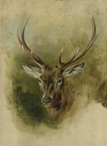 Two Studies Of A Stag's Head (recto) — Sir Edwin Henry Landseer, Academic Romanticism