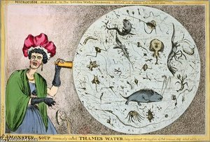 Microcosm Dedicated To The London Water — William Heath