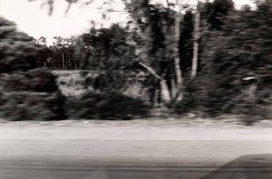 Autolandscape, California