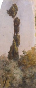 Tall Trees — Thomas Stuart Smith