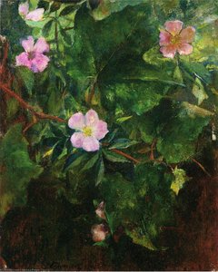 Wild Roses And Grape Vine, Study From Nature — John La Farge, Impressionistic Realism