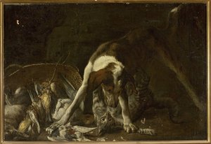 Dog Attacking A Cat — Jan Vonck