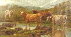 Highland Cattle — Frederick Goodall