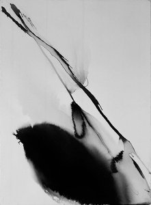 Phenomena Lunar Height — Paul Jenkins