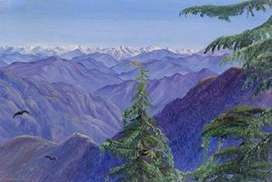 Desde Nahl Dehra Cerca De Simla (shimla), Himachal Pradesh, India — Marianne North