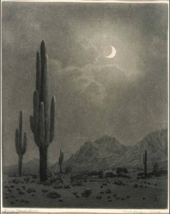 New Moon and Evening Star, Phoenix