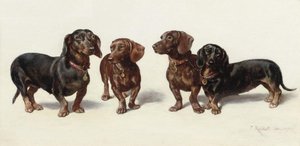 Four Dachshunds — Carl Reichert
