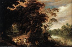 Woody Landscape