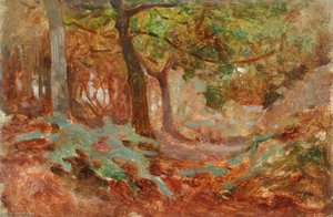 Woodland — Benjamin Haughton