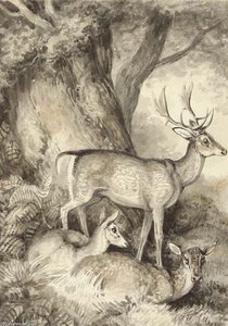 Untiteled — Samuel Howitt