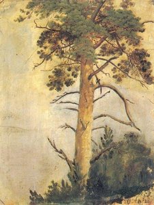Pine On The Cliff — Ivan Ivanovich Shishkin