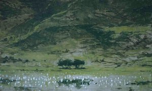 Ngorongoro — Calo Carratalá