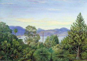 Vista Desde Los Jardines Botánicos De Hobart Town, Tasmania — Marianne North, Victorian Naturalism