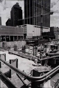 Untitled ( 41), Atlanta Historical Society — Martin Stupich