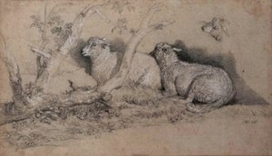 Sheep Resting In A Wooded Copse And A Further Study Of A Sheep's Head — James Ward