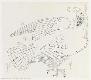 Hawk With Notes — Xie Zhiliu