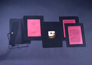 Monsieur Phot (copy No. 5) — Џозеф Корнел