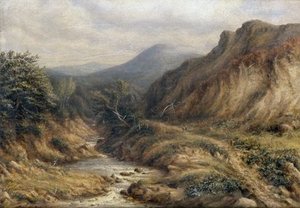 Mountain Track