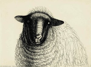 Sheep 1