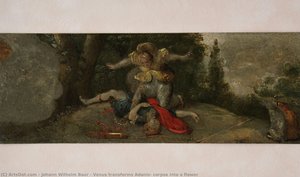 Venus transforms Adonis’ corpse into a flower