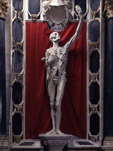 Flayed