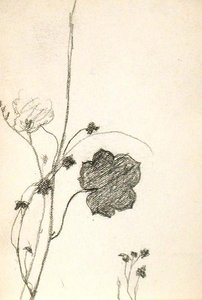 Flower — John Ottis Adams