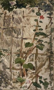 Morgenveilchen Und Nasturtien — Édouard Manet
