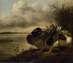 A Pair of Ducks in a Landscape