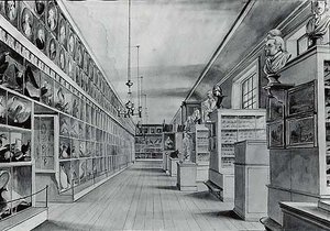 Interior of Peale's Museum, (painting)
