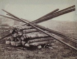 Sherman's Hair Pins — George Grey Barnard