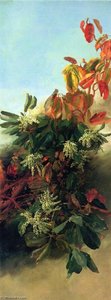 Madrone, Dogwood and Elderberry (I)