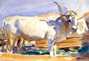 White Ox At Siena — John Singer Sargent, Impressionism Style