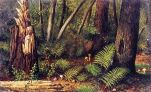 Forest With Ferns And Mushrooms — William Aiken Walker